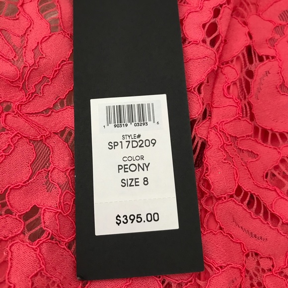 Rachel Zoe Kyle Lace Dress - Picture 5 of 6